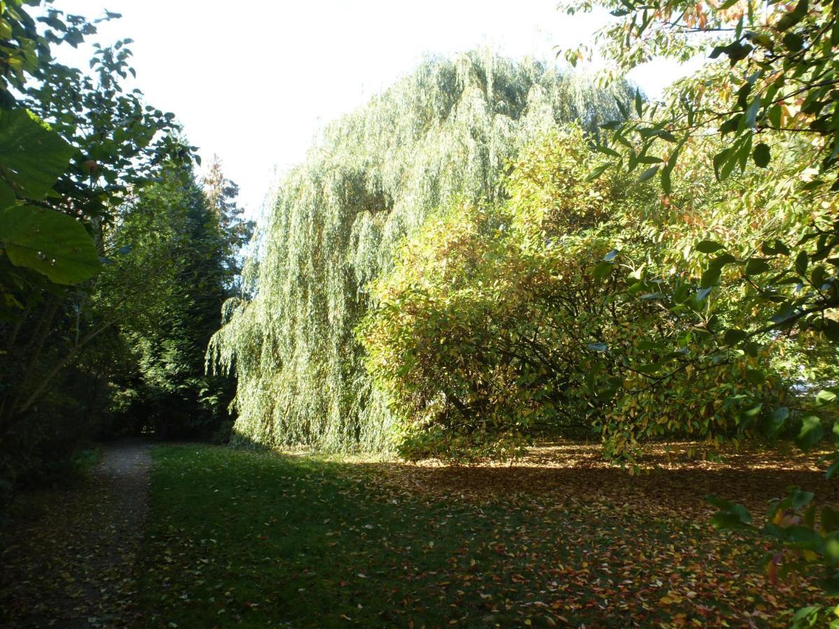 Fewo Im Naturschutzgebiet Hiddenhausen Bagian luar foto