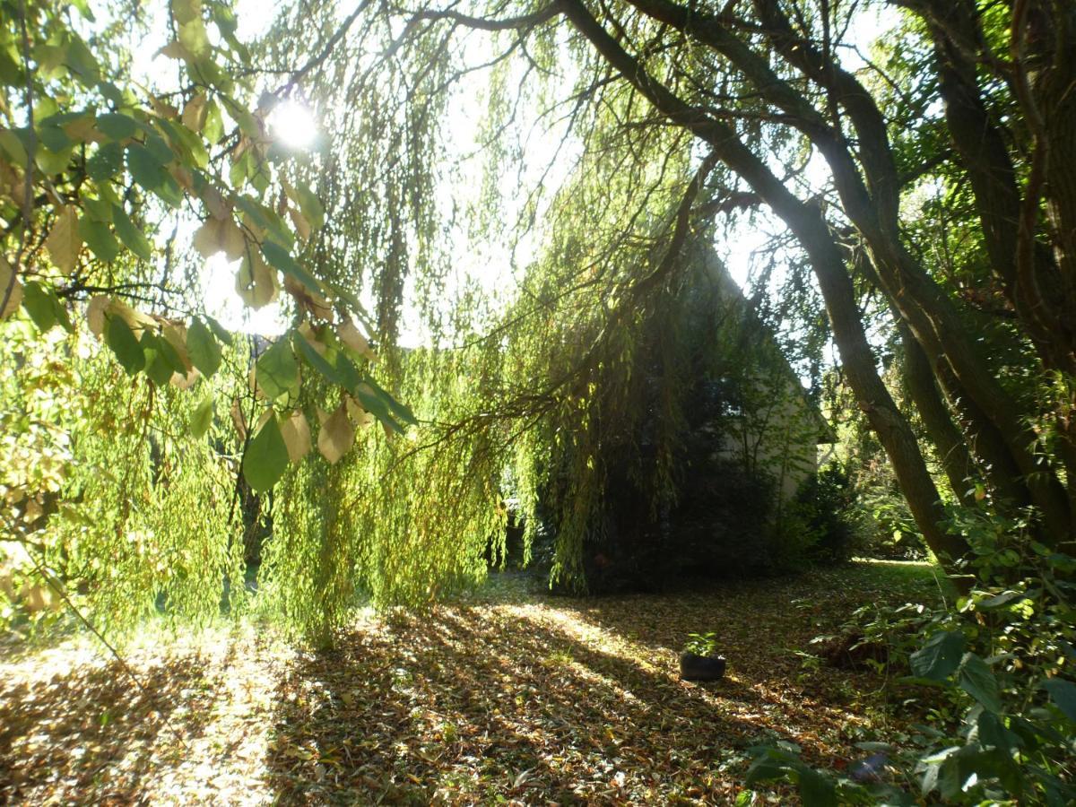 Fewo Im Naturschutzgebiet Hiddenhausen Bagian luar foto