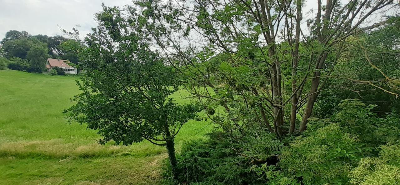 Fewo Im Naturschutzgebiet Hiddenhausen Bagian luar foto